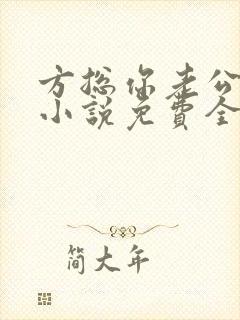 方总你老公没了小说免费全文阅读