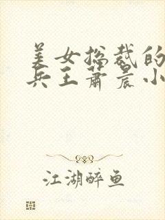 美女总裁的贴身兵王萧晨小说