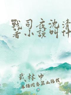 战司夜沈清歌原著小说叫什么
