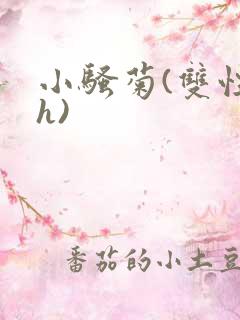 小骚菊(双性高h)