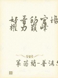 好看的官场小说权力巅峰