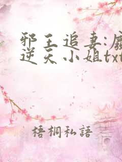 邪王追妻:废材逆天小姐txt