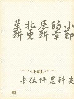 叶北辰的小说最新更新章节目录