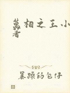 万相之王小说原著