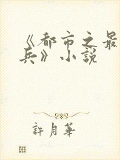 《都市之最强狂兵》小说