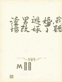 渣男逃婚,我当场改嫁了听书免费