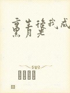 重生后我成奸臣黑月光