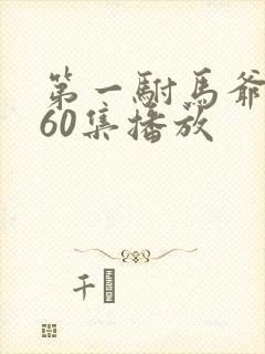 第一驸马爷短剧60集播放