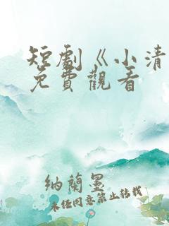 短剧《小清欢》免费观看