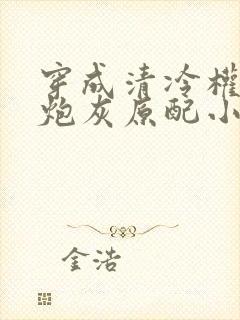 穿成清冷权臣的炮灰原配小说