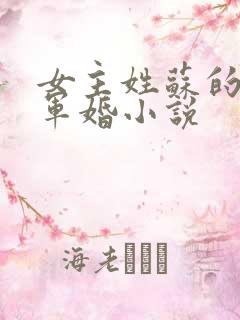 女主姓苏的重生军婚小说