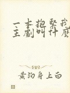 一本抱紧我双男主剧叫什么名字