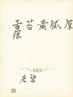 舌苔黄腻厚有齿痕