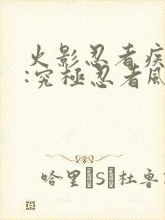 火影忍者疾风传:究极忍者风暴2