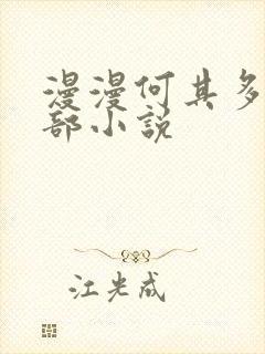 漫漫何其多的全部小说