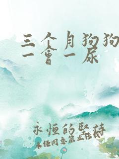 三个月狗狗尿频一会一尿