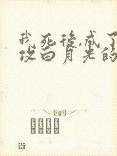 我死后,成了渣攻白月光的背后灵