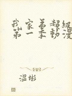 我家弟超级有料第一季动漫免费观看