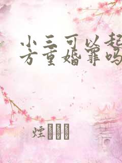 小三可以起诉男方重婚罪吗