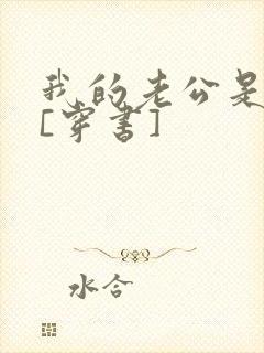 我的老公是反派[穿书]