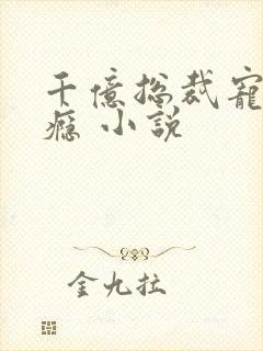 千亿总裁宠妻成瘾 小说