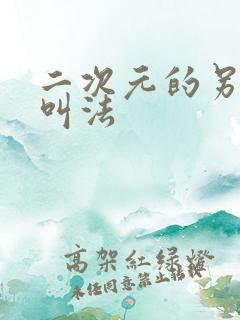 二次元的另一种叫法