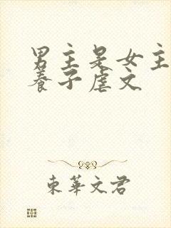 男主是女主家的养子虐文