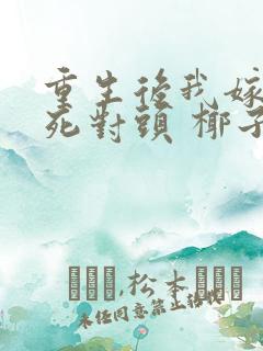 重生后我嫁给了死对头 椰子絮