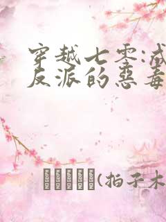 穿越七零:成了反派的恶毒后娘全文阅读