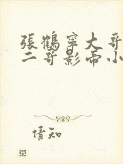 张鹤宁大哥总裁二哥影帝小说免费阅读