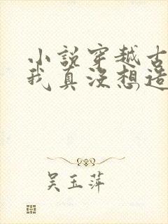 小说穿越古代,我真没想造反啊下载