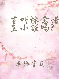 有叫林念惜的女主小说吗?