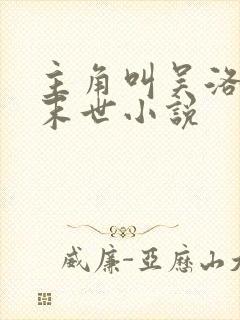 主角叫吴洛枫的末世小说