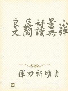 良辰好景小说全文阅读无弹窗