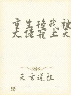 重生后我被四个大佬宠上天