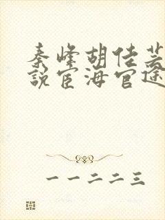 秦峰胡佳芸的小说宦海官途