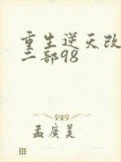 重生逆天改命第二部98