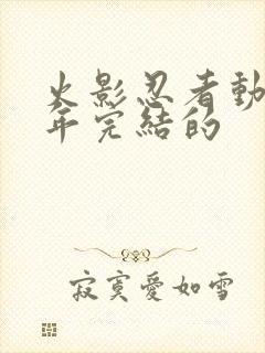 火影忍者动漫哪年完结的