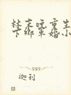 林末晚重生七零下乡军婚小说