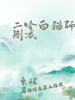 二哈白猫师尊未删减