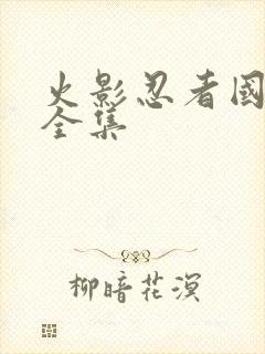 火影忍者国语版全集