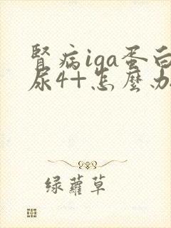 肾病iga蛋白尿4+怎么办