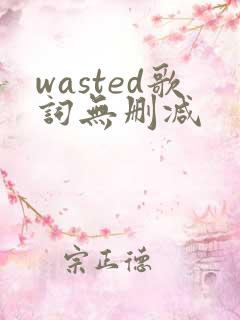 wasted歌词无删减