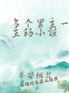 多个男主一个女主的小说