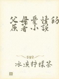 父母爱情的小说原著小说