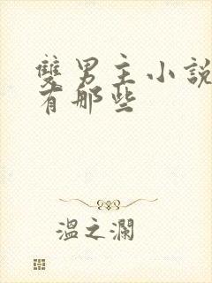 双男主小说虐文有那些