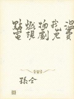 点燃物我温暖你电视剧免费观看