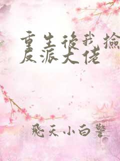 重生后我捡到了反派大佬