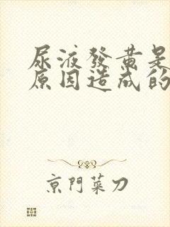 尿液发黄是什么原因造成的