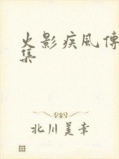 火影疾风传多少集